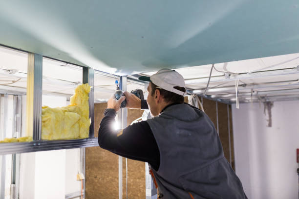 Best Residential Insulation in Lemon Grove, CA