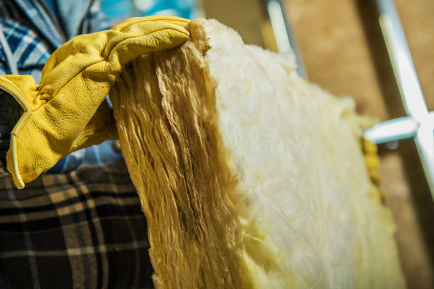 Best Eco-Friendly Insulation in Lemon Grove, CA